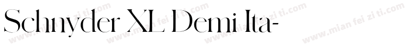 Schnyder XL Demi Ita字体转换